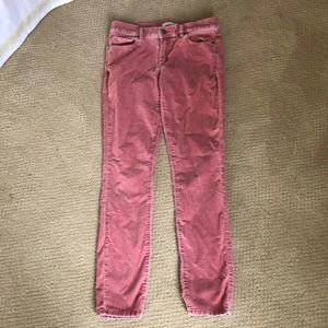 And Taylor loft  pink velvet jeans size 2